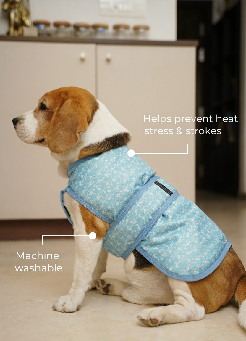 Waterproof Rainy Jacket