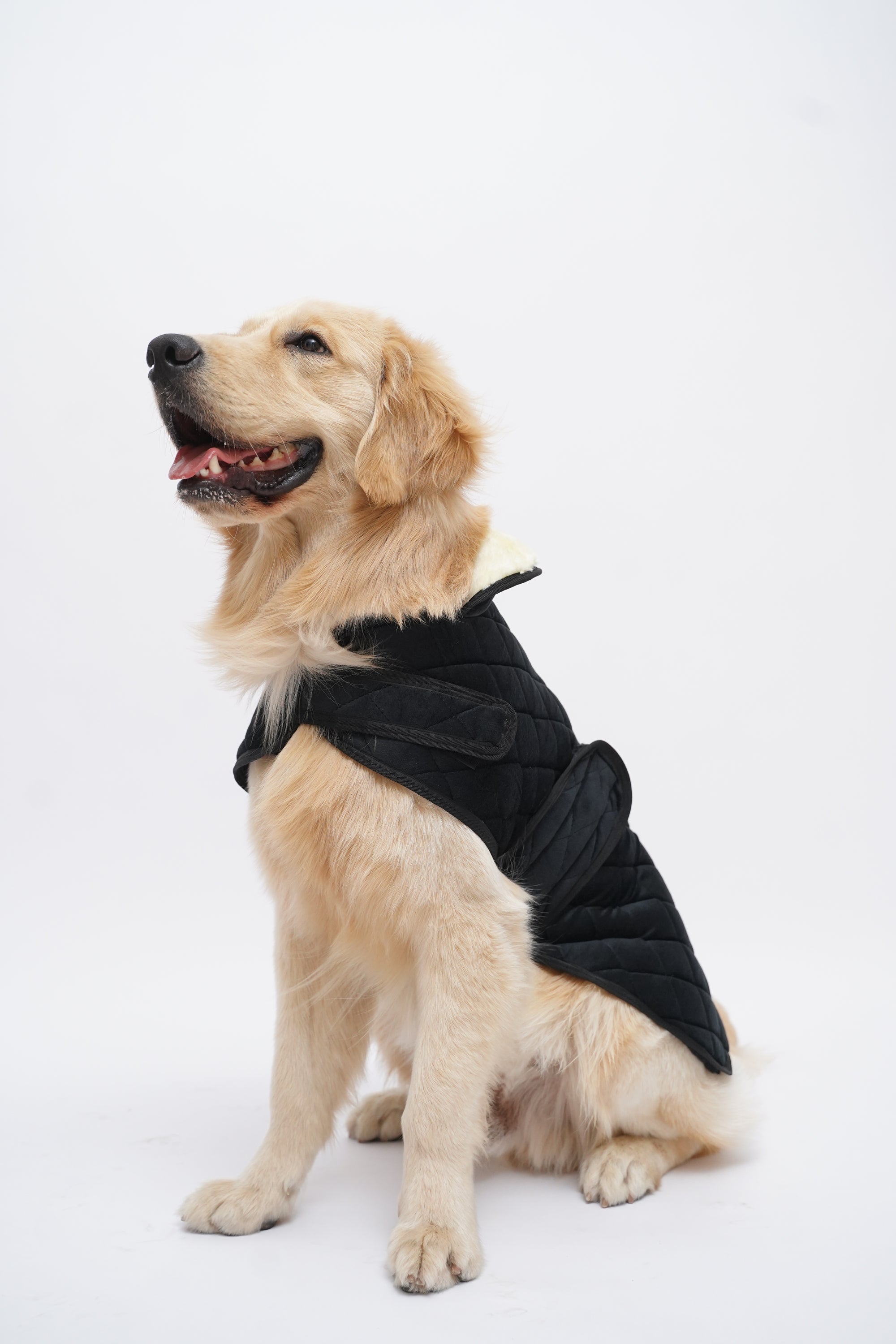 Quited winter jacket