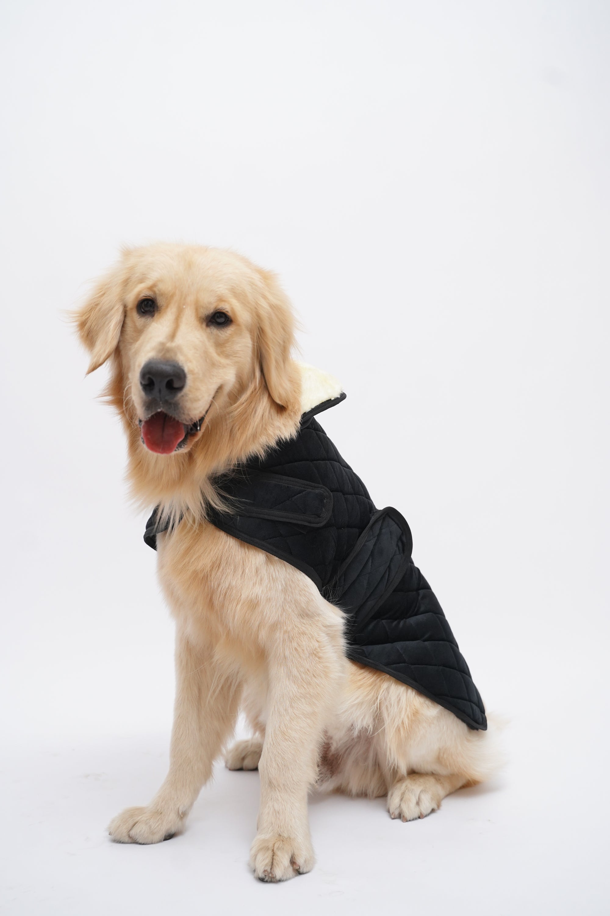 Quited winter jacket