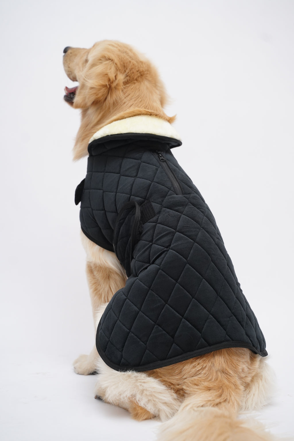 Quited winter jacket