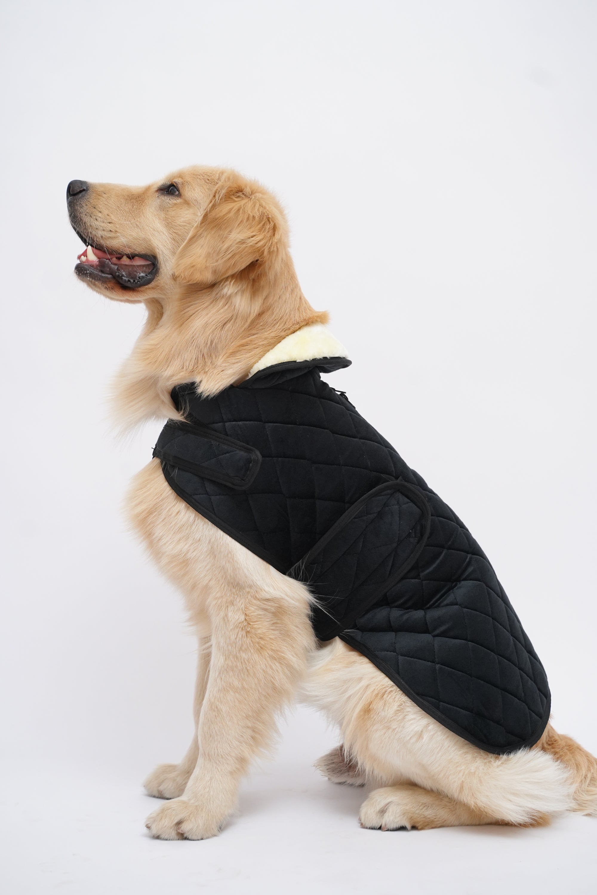 Quited winter jacket