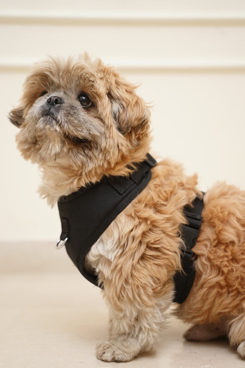 Full cover no pull black dog harness