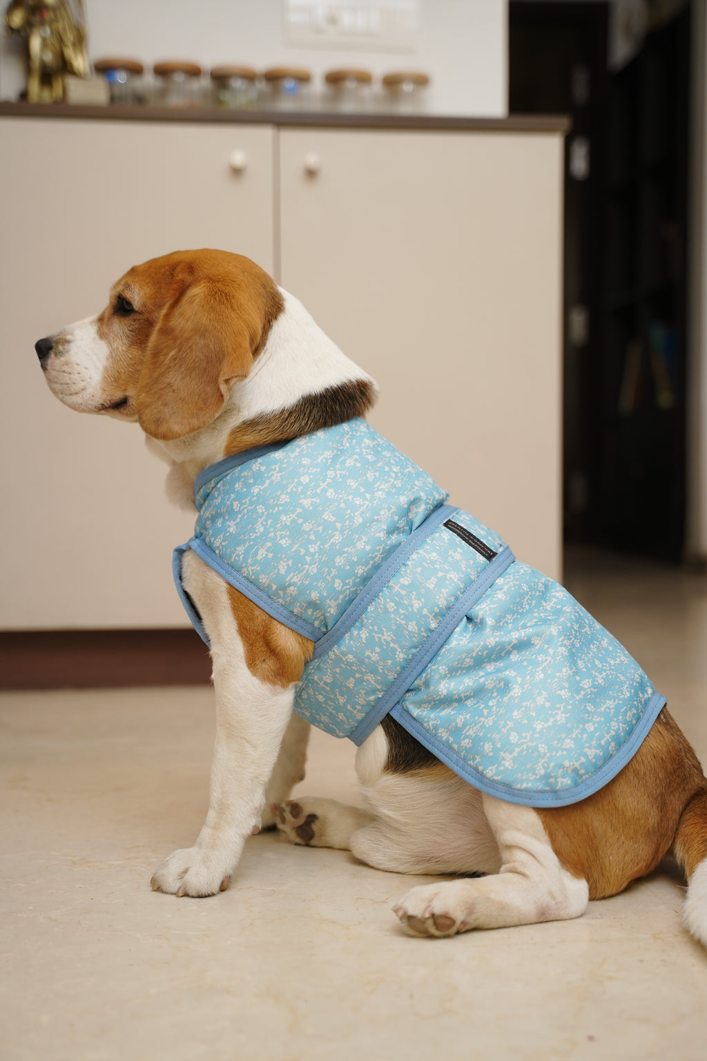 Waterproof Rainy Jacket