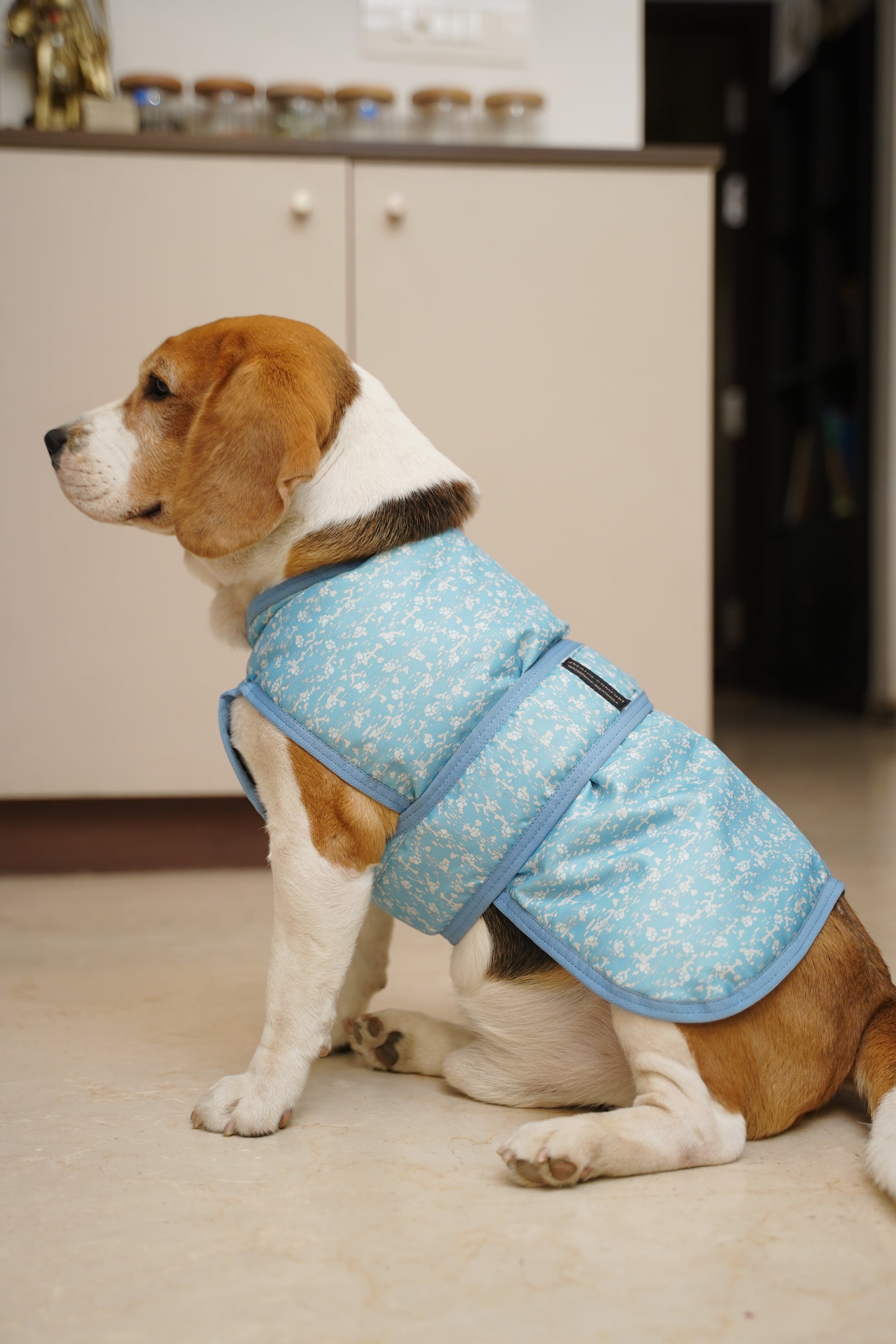 Waterproof Rainy Jacket