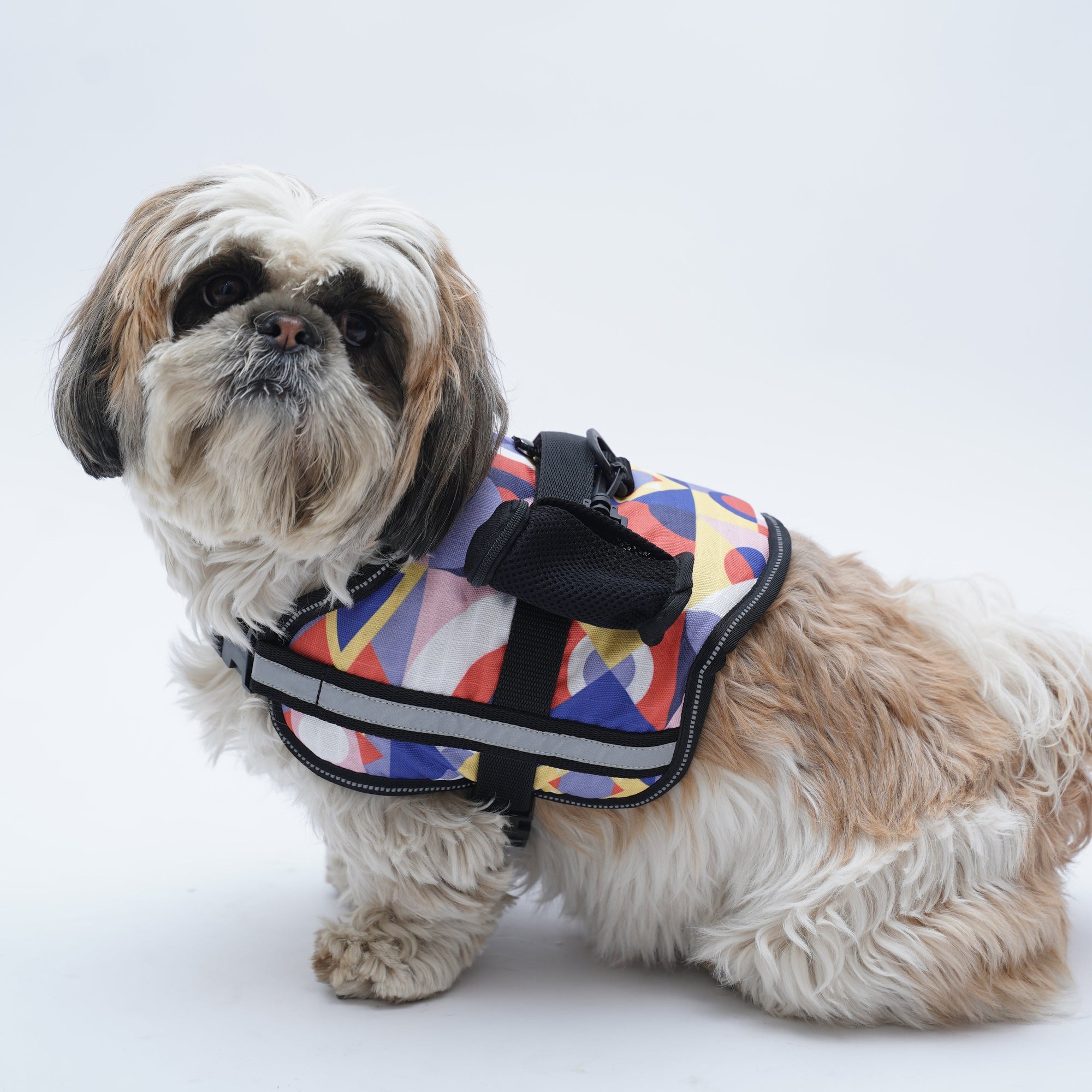 Multi Color Geometry No Pull Harness