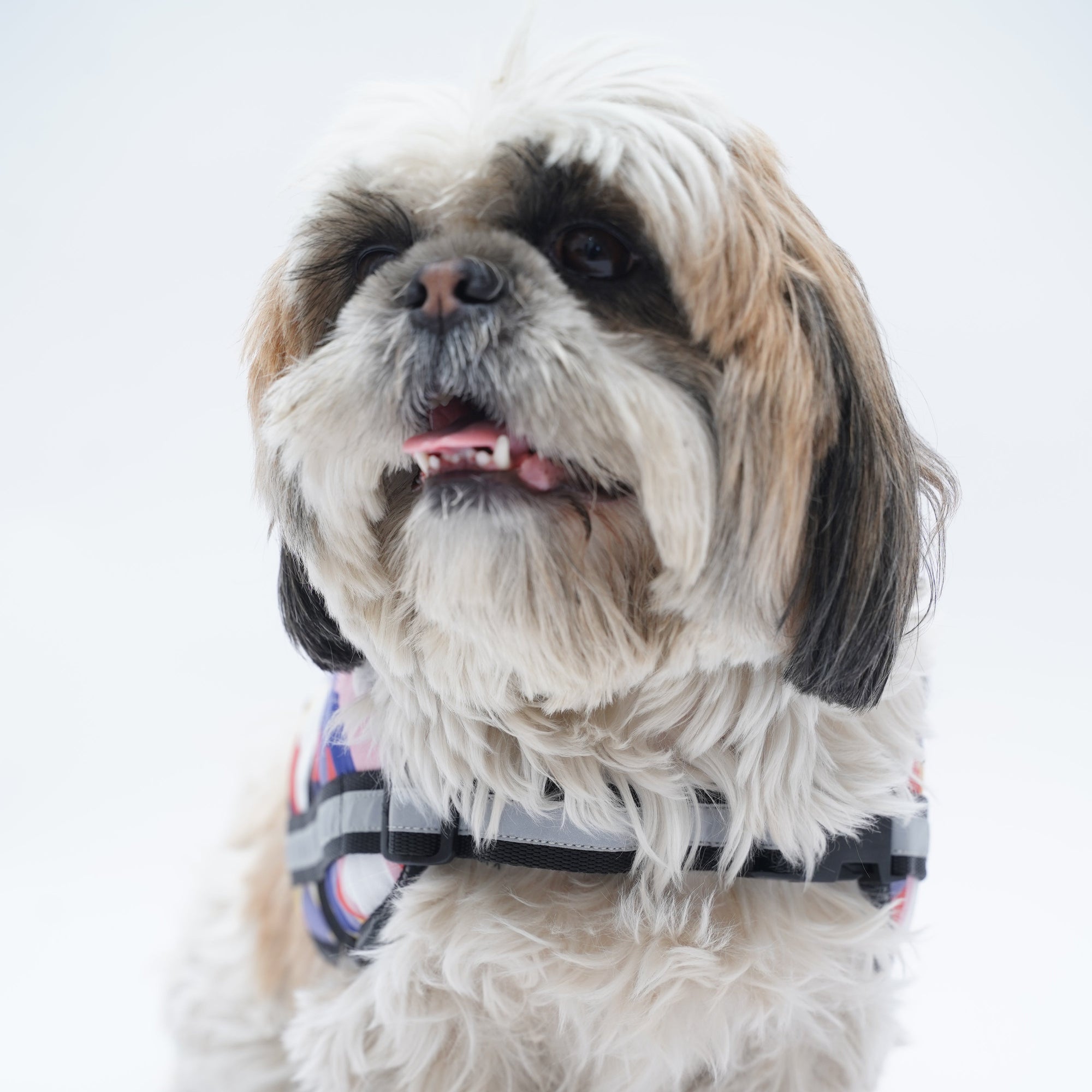 Multi Color Geometry No Pull Harness