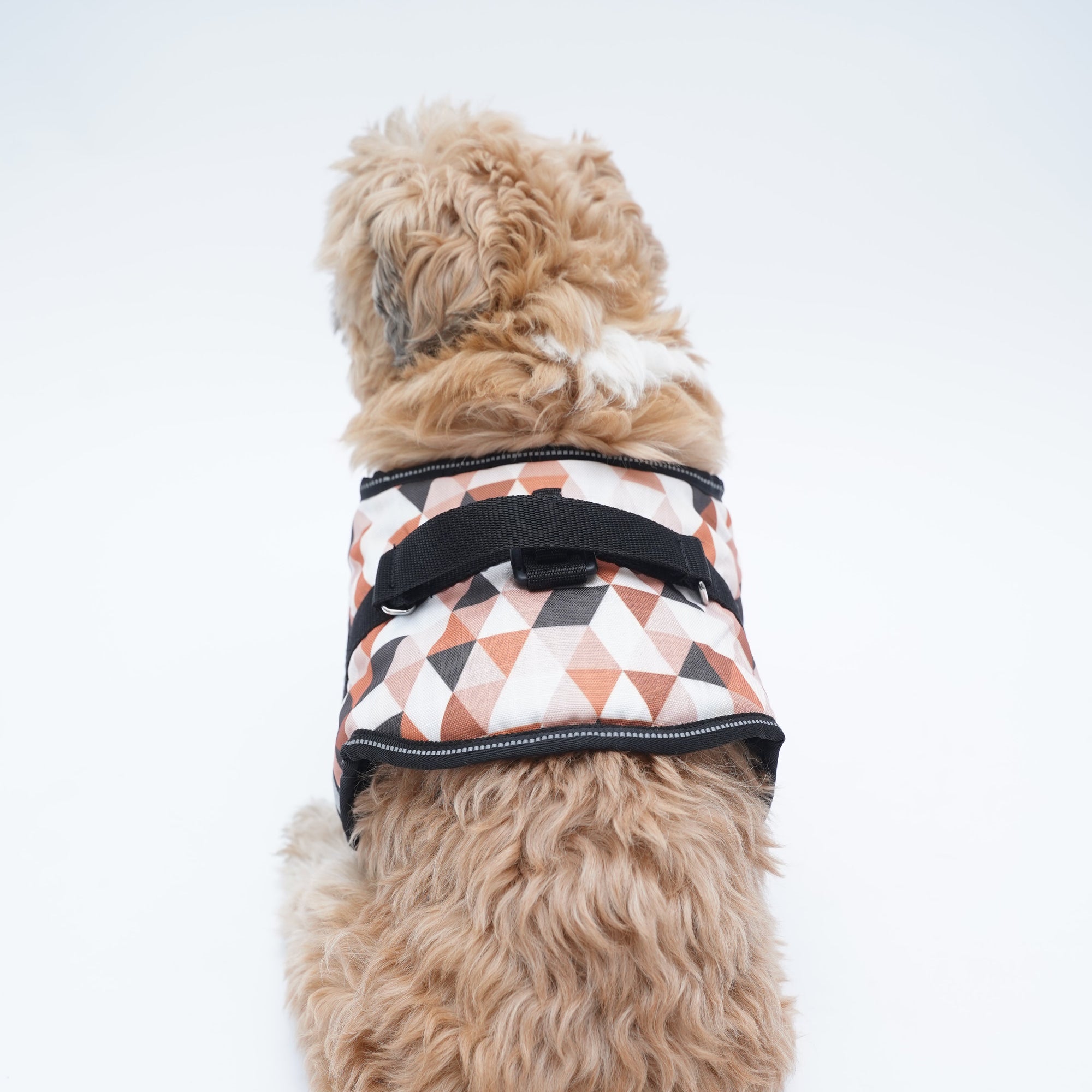 Triangles Up & Down No Pull Harness