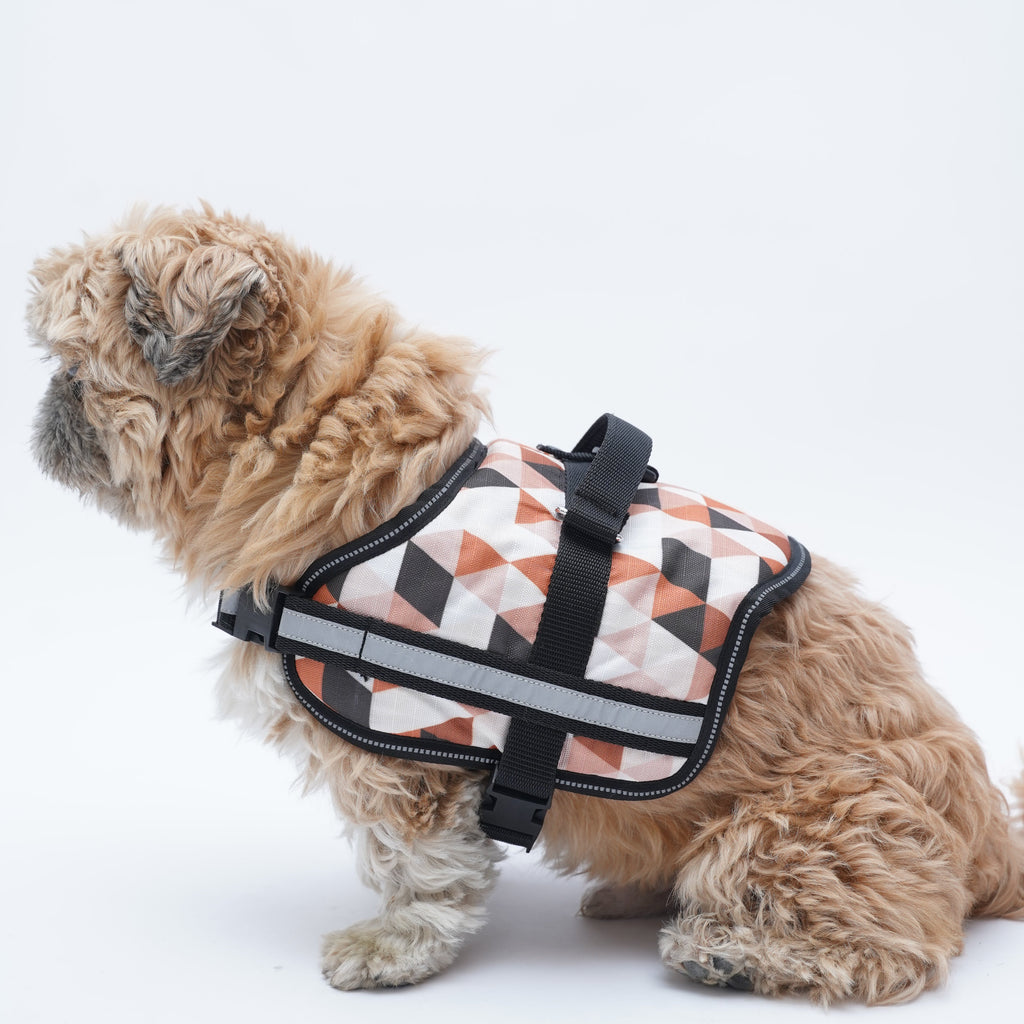 Triangles Up & Down No Pull Harness