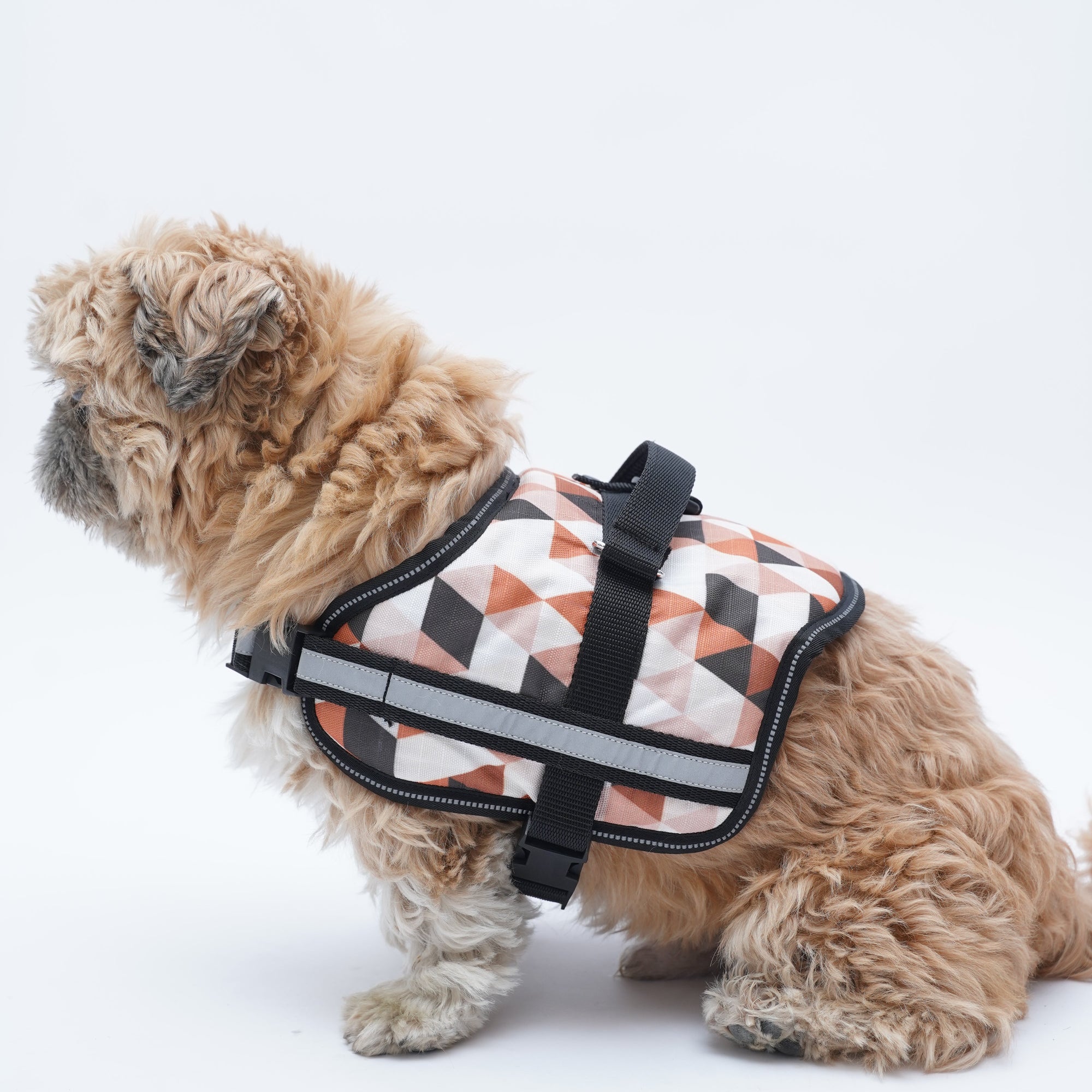 Triangles Up & Down No Pull Harness