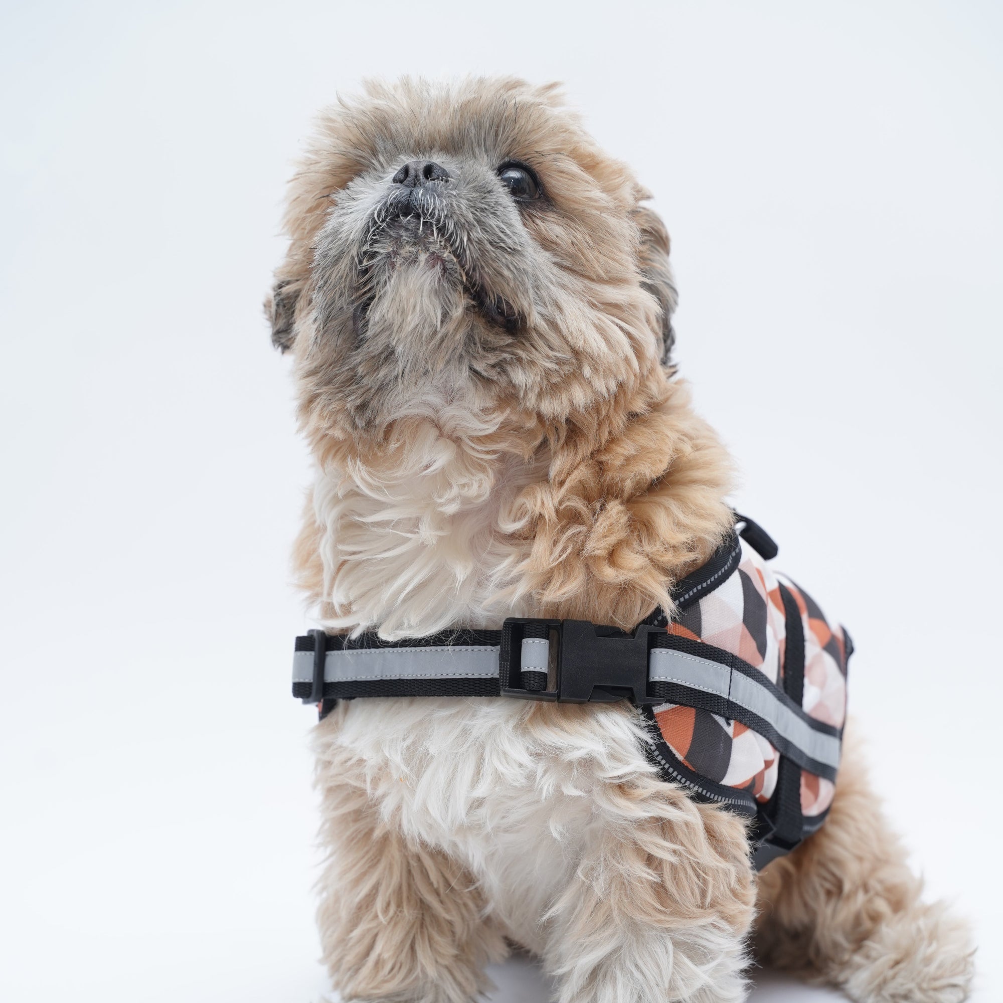 Triangles Up & Down No Pull Harness