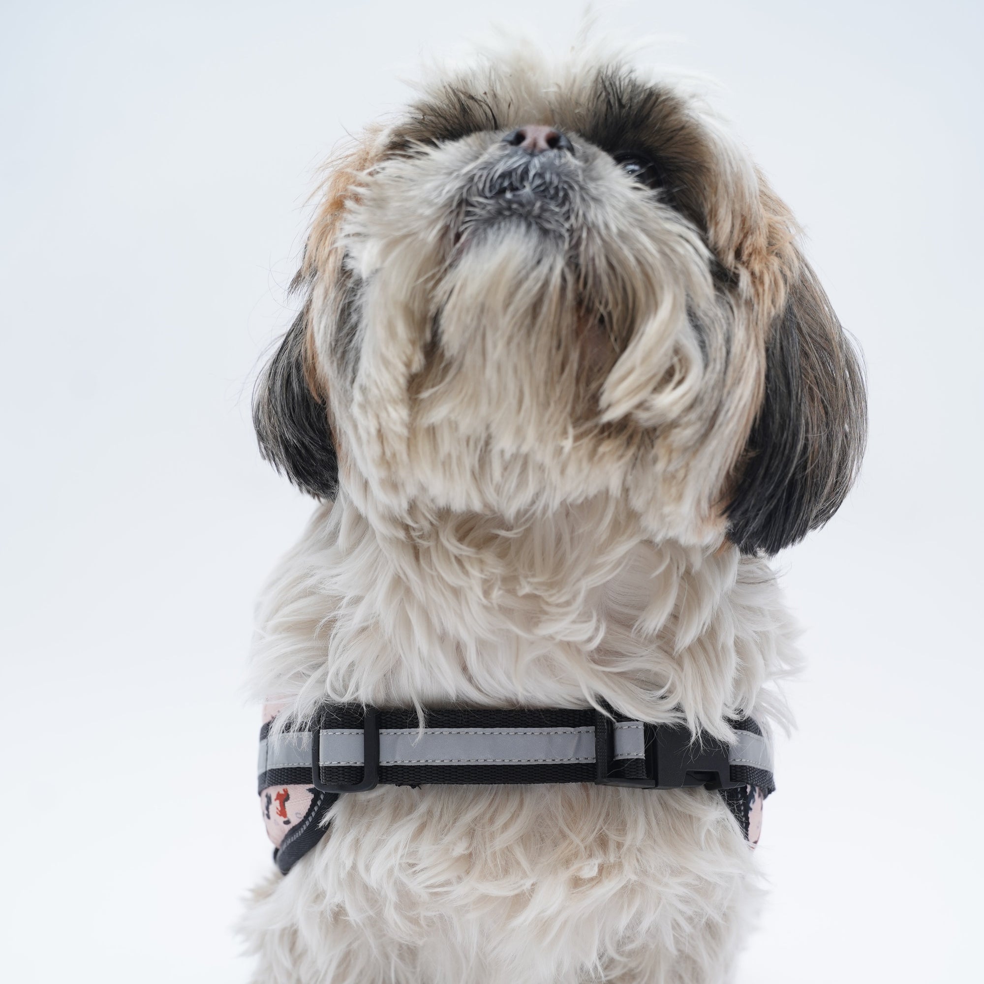 Racing Horses No Pull Harness