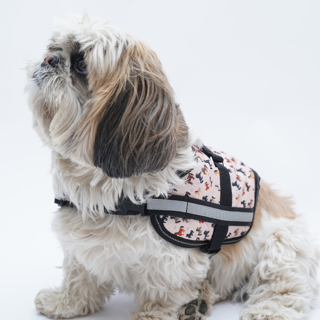 Racing Horses No Pull Harness