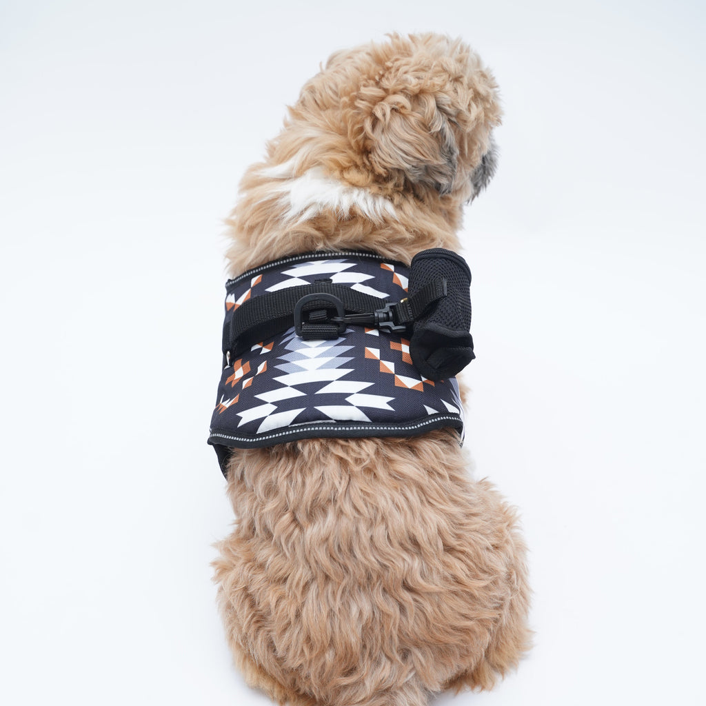 Zig Zag No Pull Harness