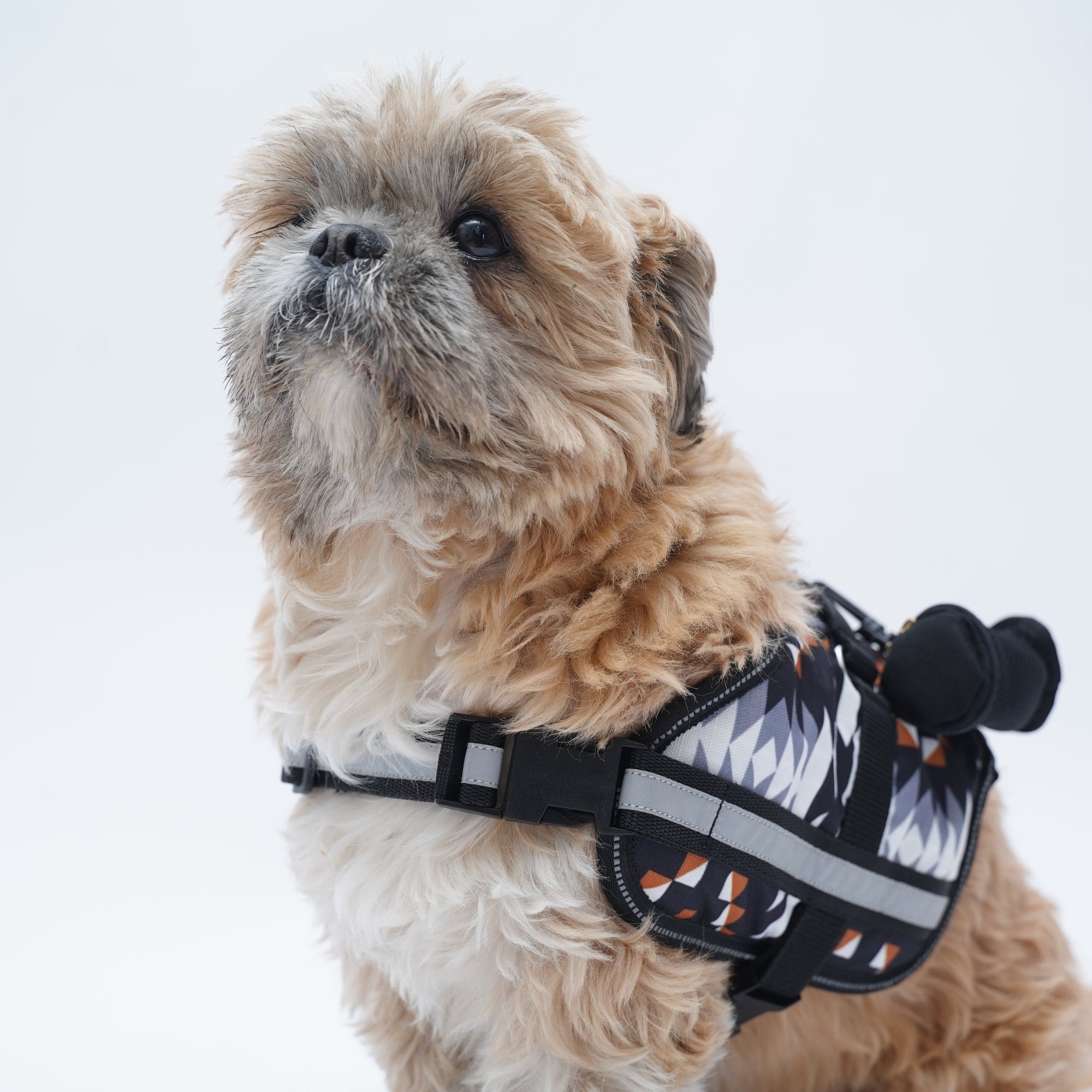 Zig Zag No Pull Harness