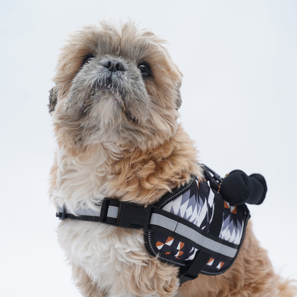 Zig Zag No Pull Harness