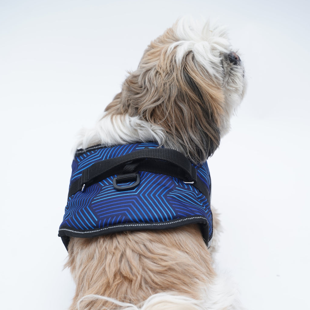 Stripped Affair No Pull Harness