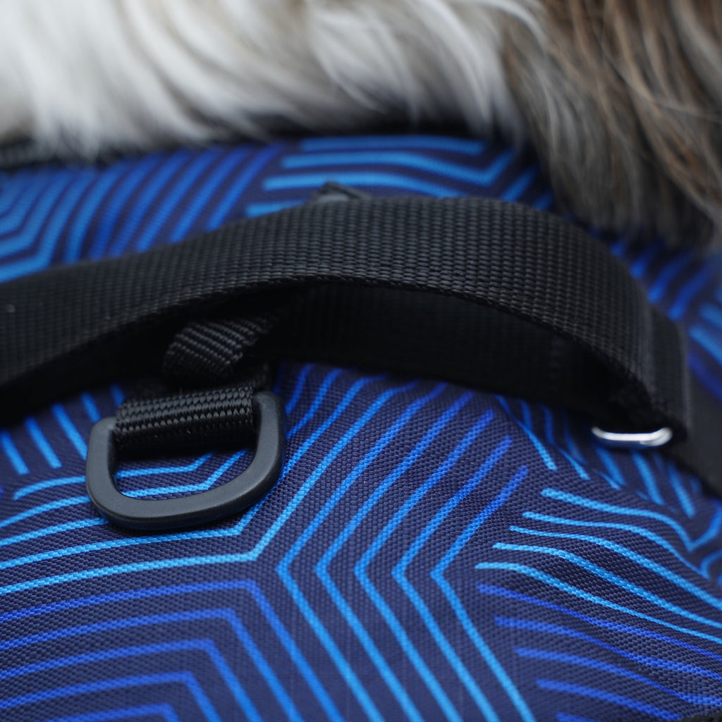 Stripped Affair No Pull Harness