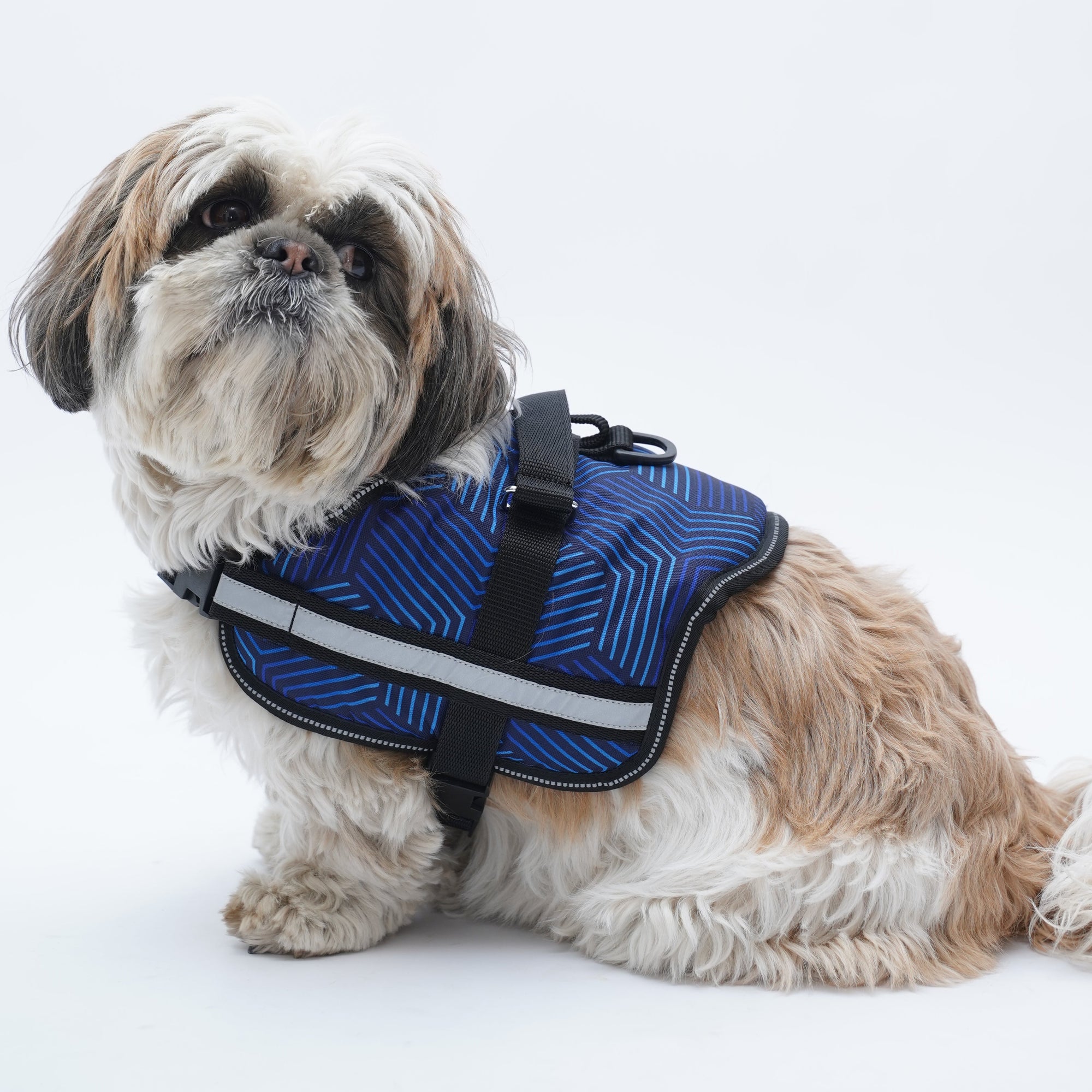 Stripped Affair No Pull Harness