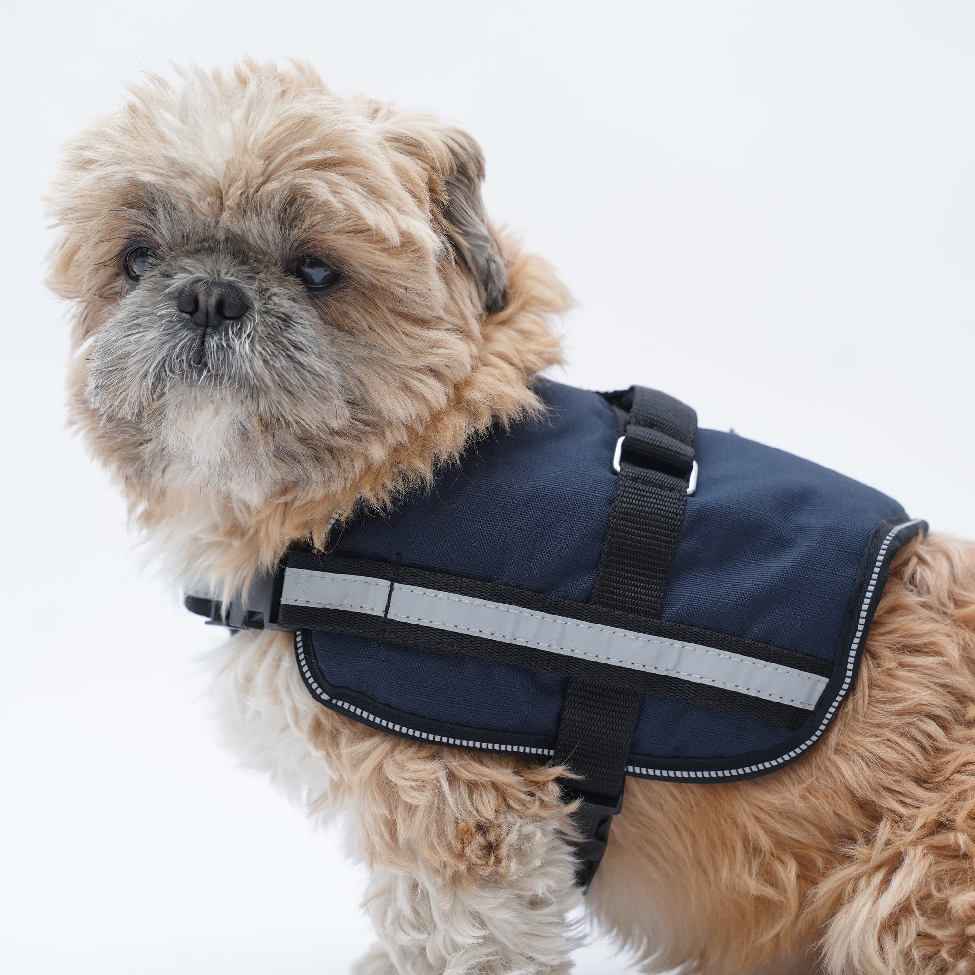 Navy Sailor No Pull Harness