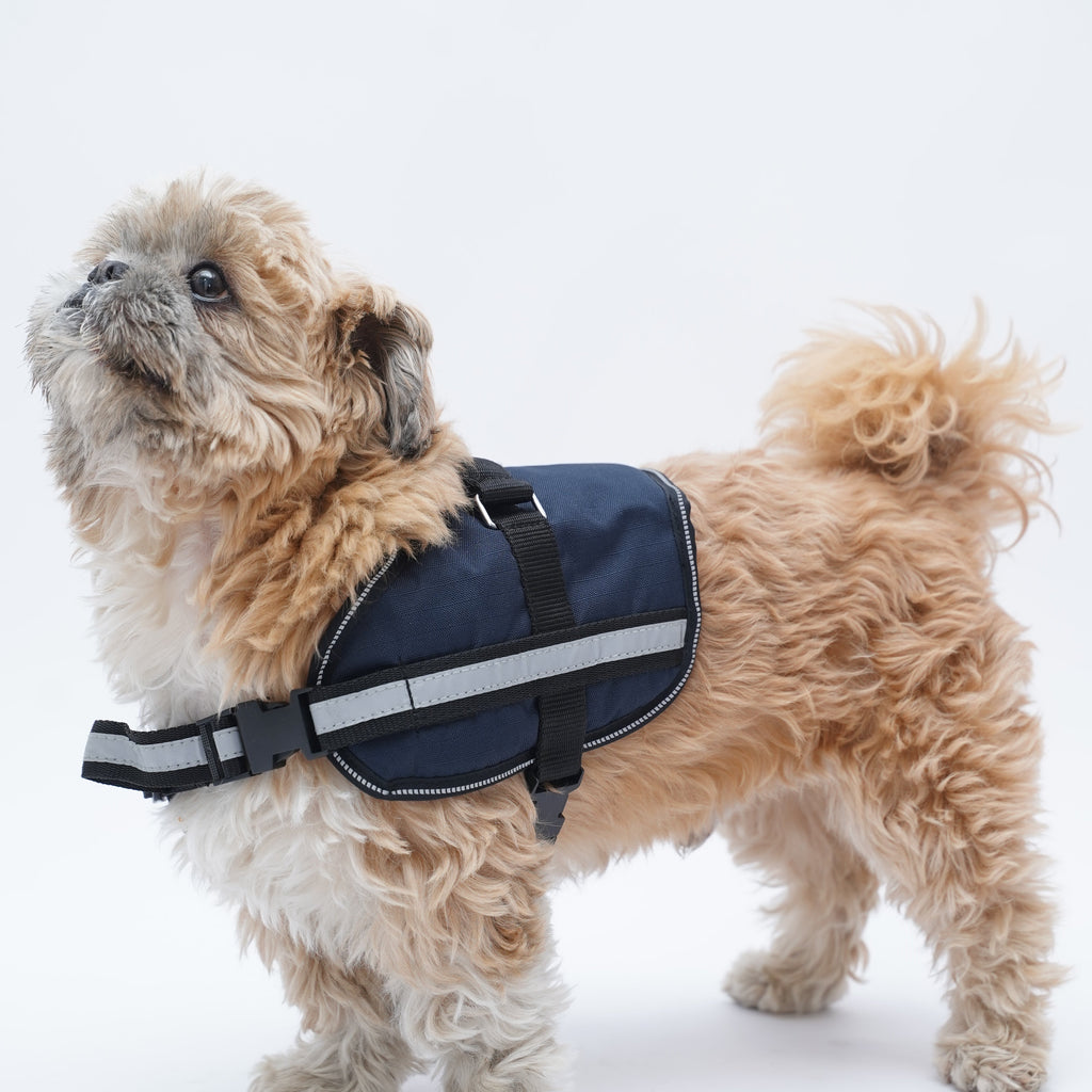 Navy Sailor No Pull Harness