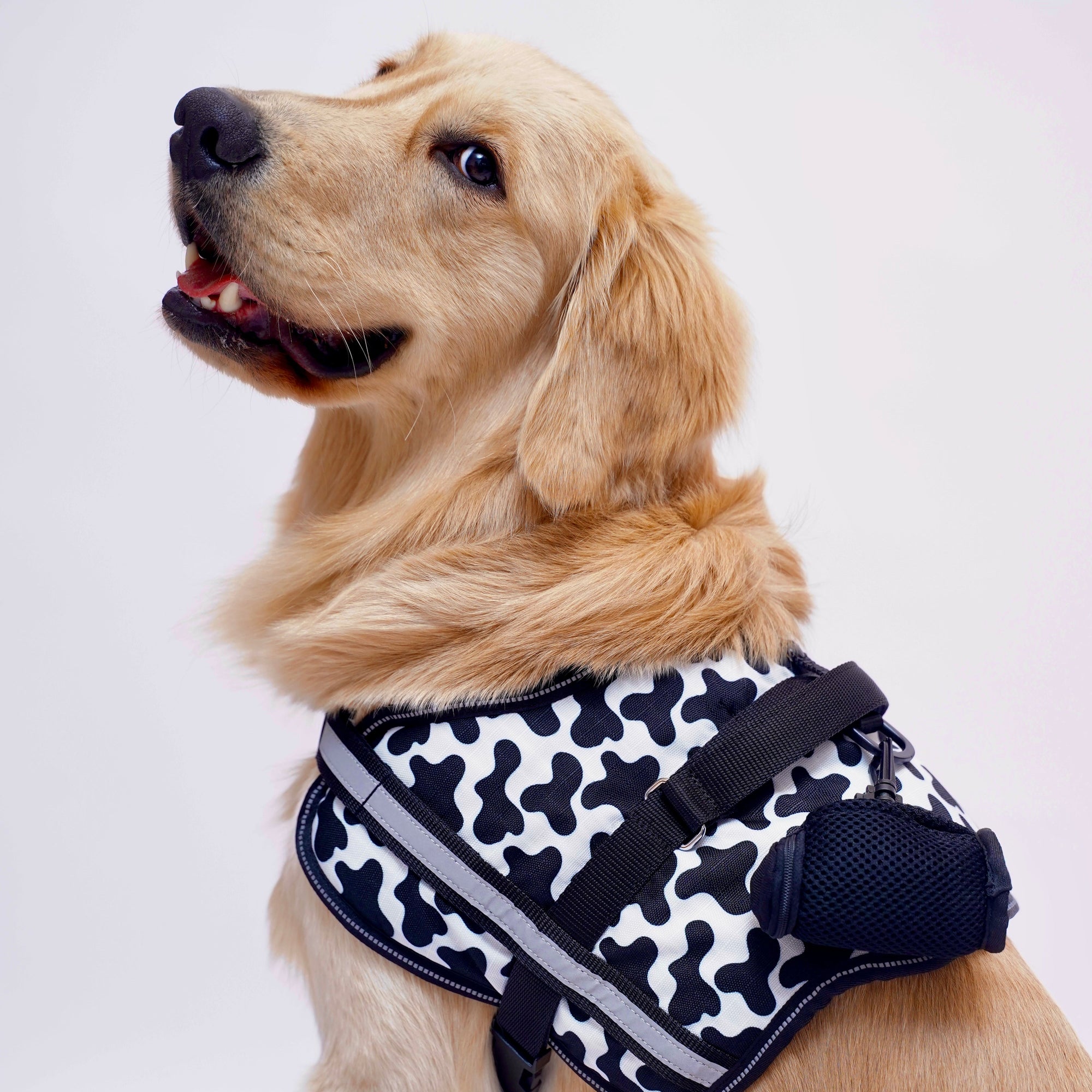 Moo Moo No Pull Harness