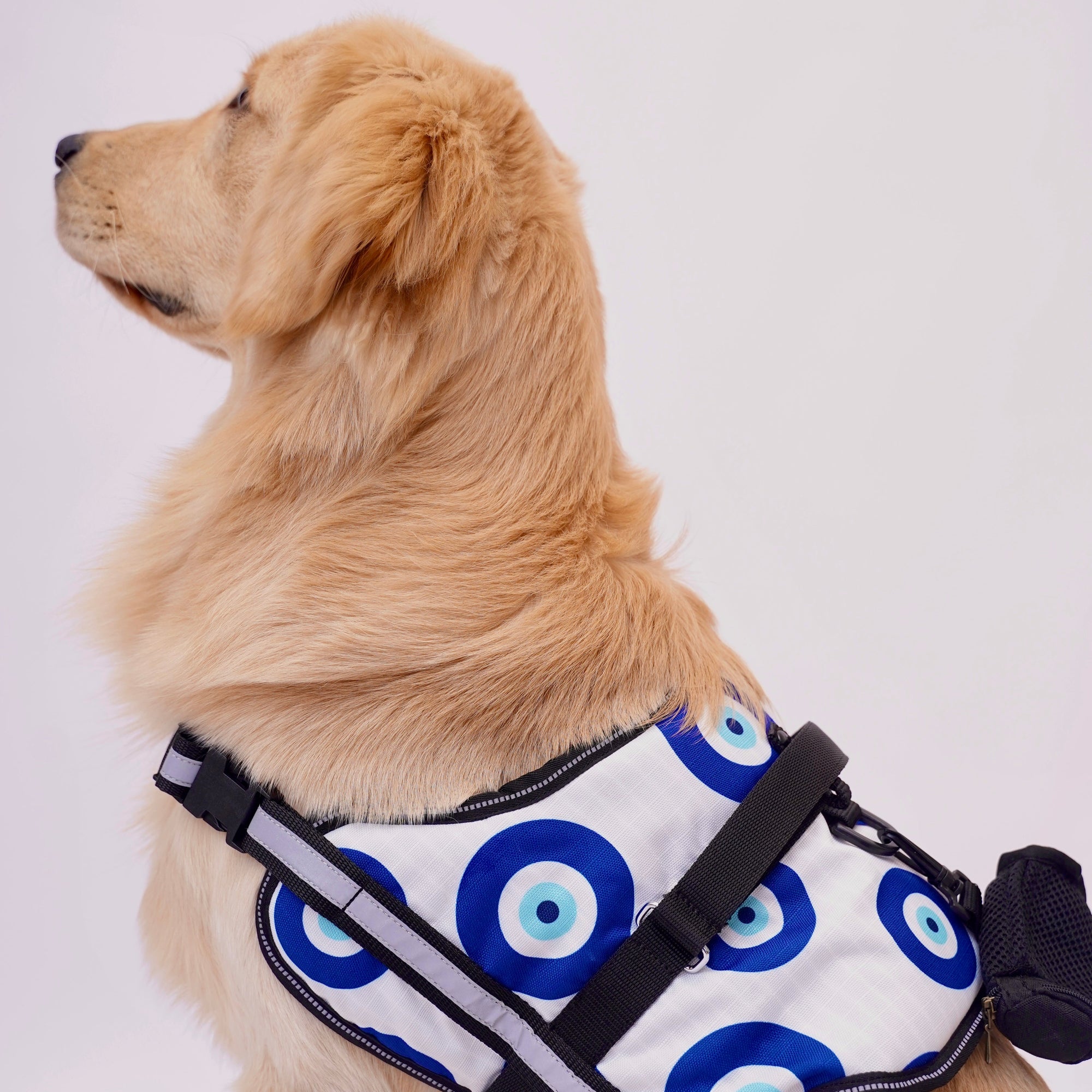 Evil Eye No Pull Harness