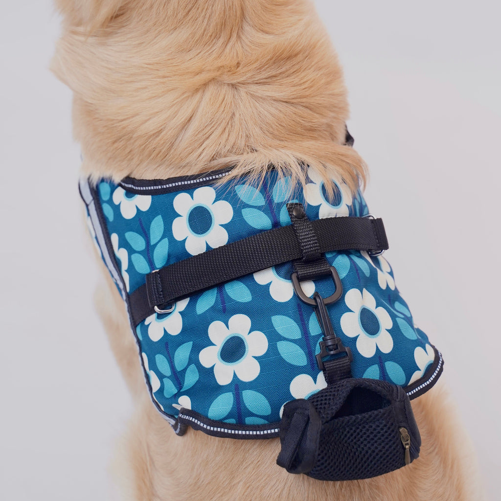 Daisy Date No Pull Harness