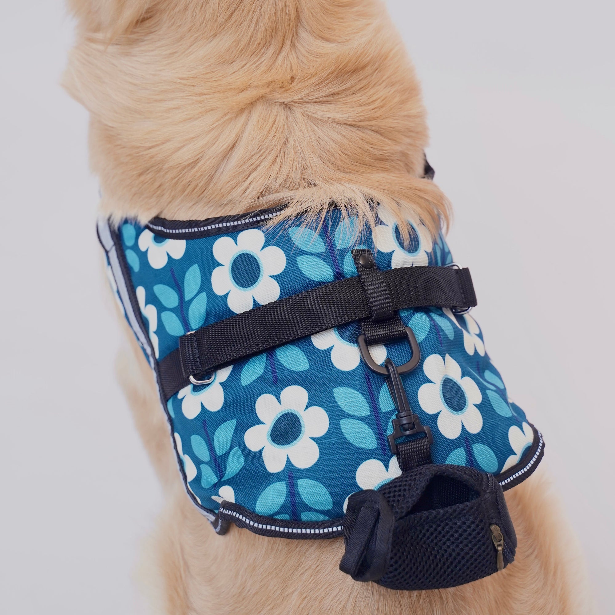 Daisy Date No Pull Harness