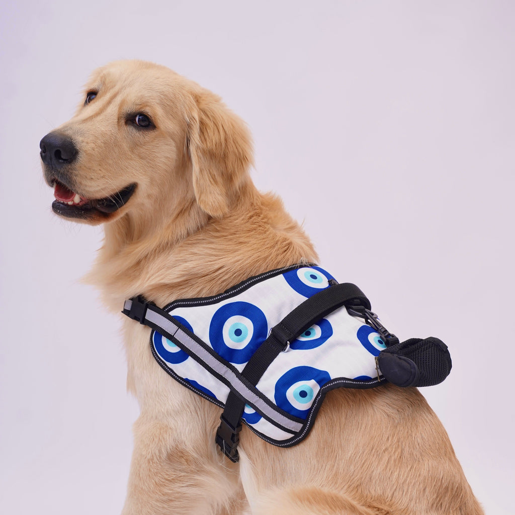 Evil Eye No Pull Harness