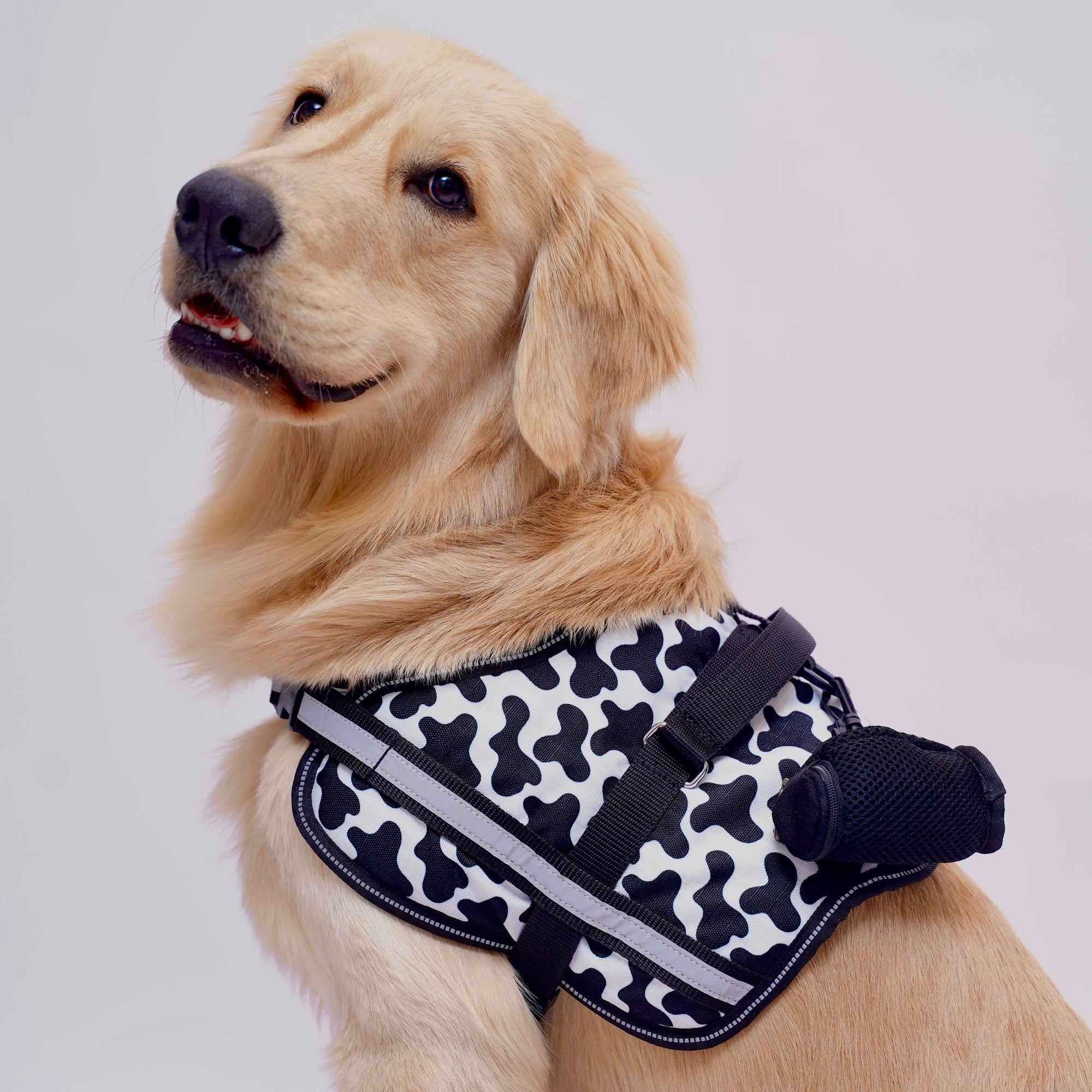 Moo Moo No Pull Harness